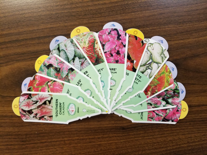 Variety-Specific Plant Tags