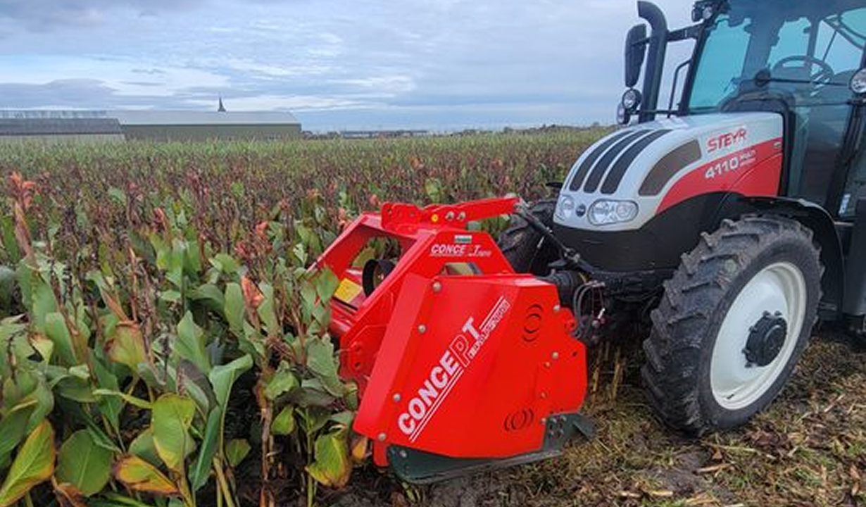 What Our Growers Learned in Holland - 2022 Visit