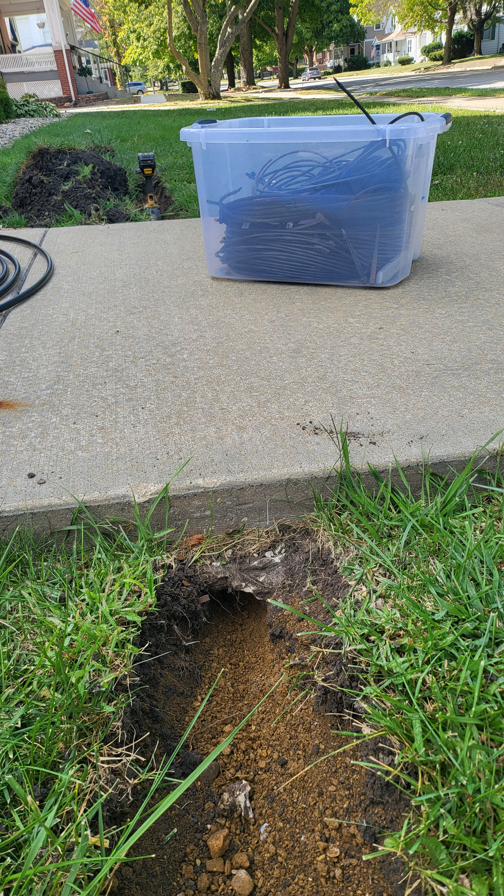 Blue plastic container on a concrete surface next to grass