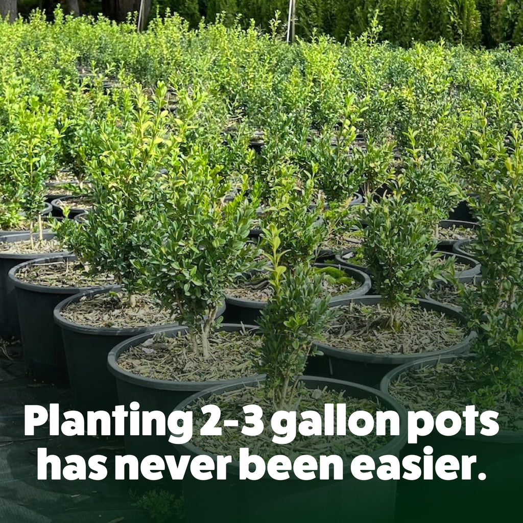 Row of potted plants with text overlay 'Planting 2-3 gallon pots has never been easier.'