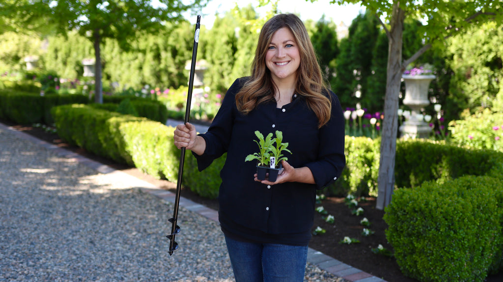 Laura’s Edition 2″ x 36″ Auger