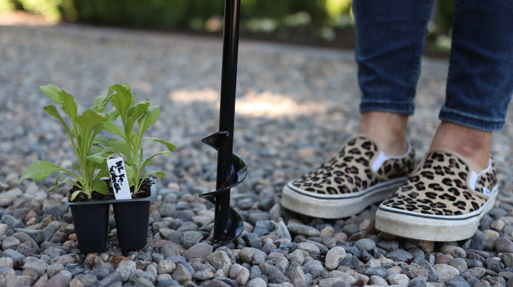 Laura’s Edition 2″ x 36″ Auger