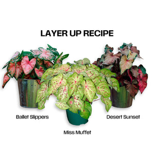 Layer Up Recipe