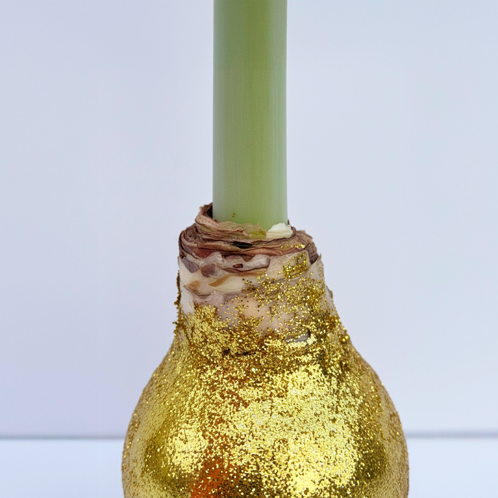 Cherry Blossom Amaryllis – Gold Glitter